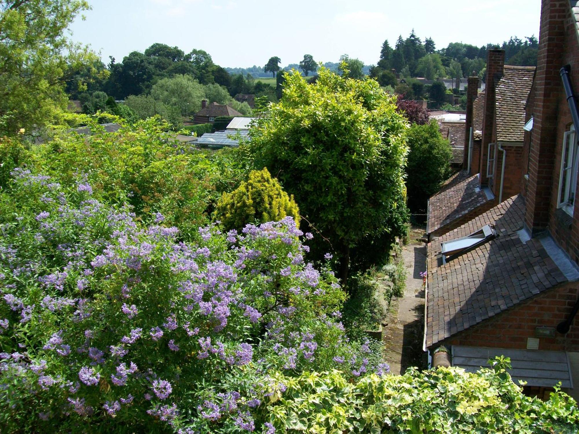 Frog Cottage, Ludlow - A Charming Townhouse For 4 Bagian luar foto